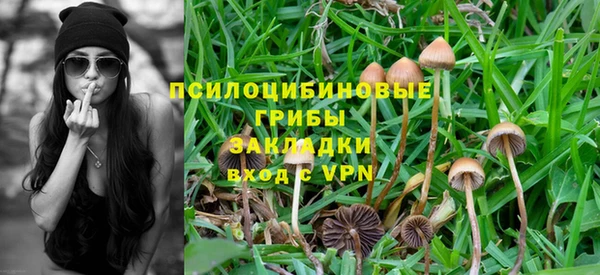 PSILOCYBIN Бронницы