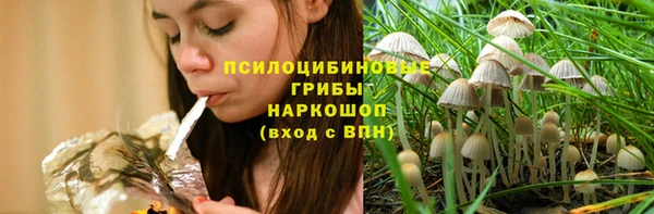 PSILOCYBIN Бронницы